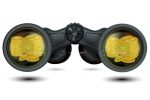 Binoculars with Gold Coins Reflected on Lenses